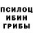 Галлюциногенные грибы мицелий _Deria Kill_