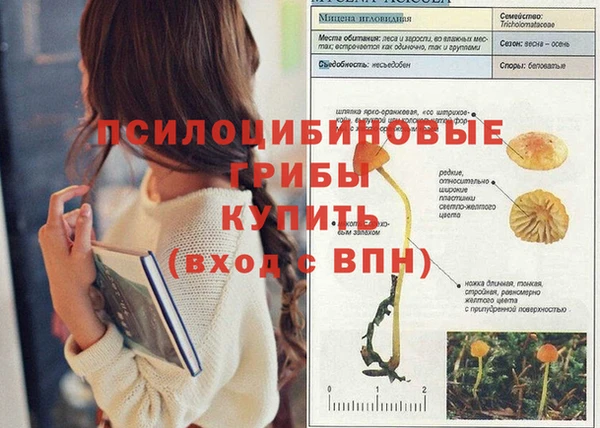 МДПВ Вязьма